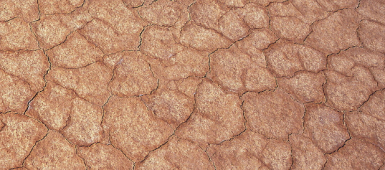 5 posibles causas de la piel seca y escamosa